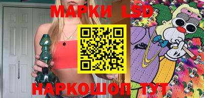 гашик Будённовск
