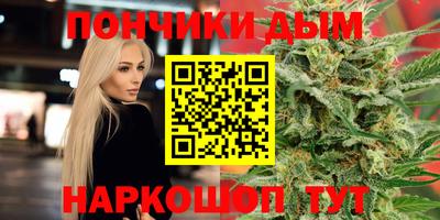 гашик Будённовск