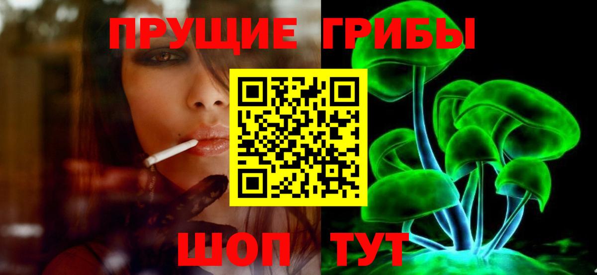 купить  сайты  Галлюциногенные грибы прущие грибы  Вход с VPN  Печора 