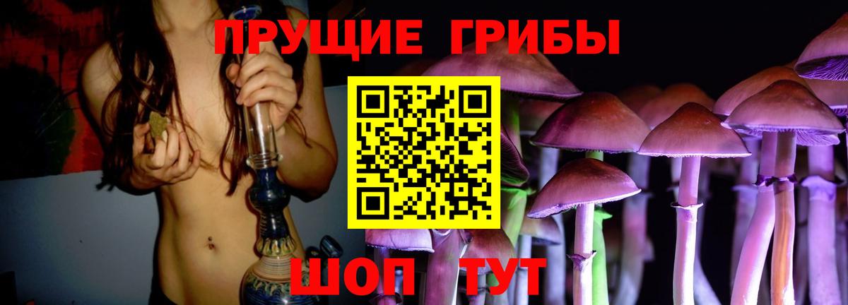 Галлюциногенные грибы прущие грибы Печора